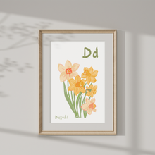 Load image into Gallery viewer, Framed artwork of daffodils with 'Dd' lettering on a gray wall.