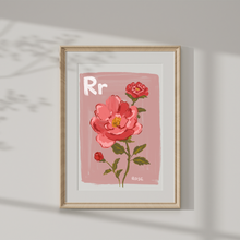 Load image into Gallery viewer, Framed artwork with a rose illustration and 'Rr' letter on a pink background.