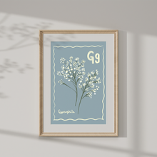 Load image into Gallery viewer, Framed artwork of a plant with 'Gypsophila' text on a light blue background
