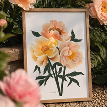 Load image into Gallery viewer, The Peony Giclée Print
